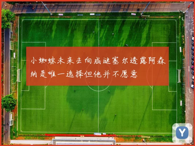 小蜘蛛未来去向成谜塞尔透露阿森纳是唯一选择但他并不愿意